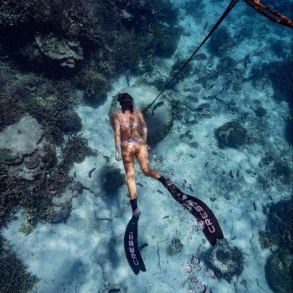 Meet your Posher, Jessica - Picture 1 of 1